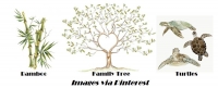 FENG SHUI - How to potentiate the sector of Health