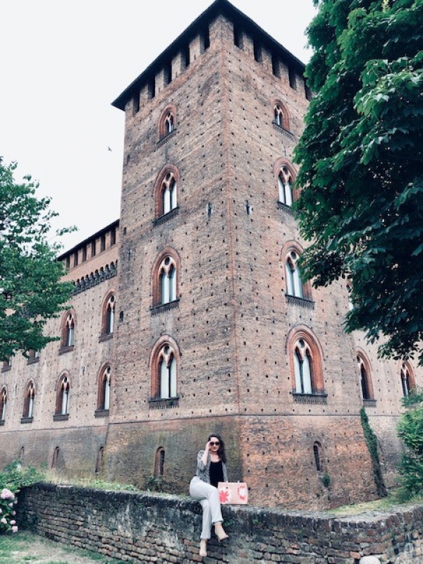 Vita Medievale nella città di Pavia